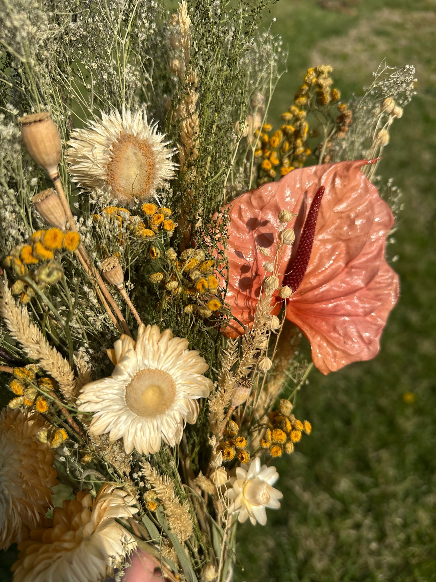 Anthurium & Strawflower Large Dried Bouquet