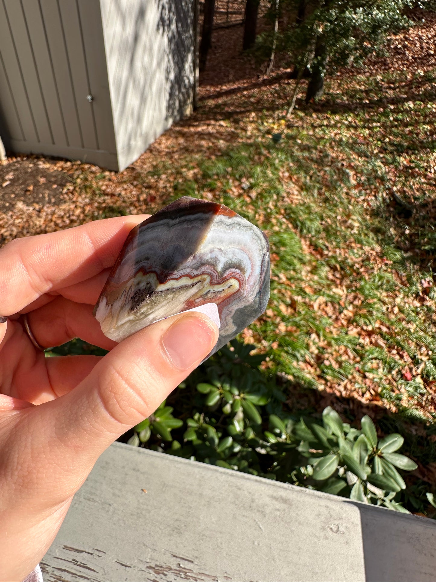 Moroccan Agate freeform #3