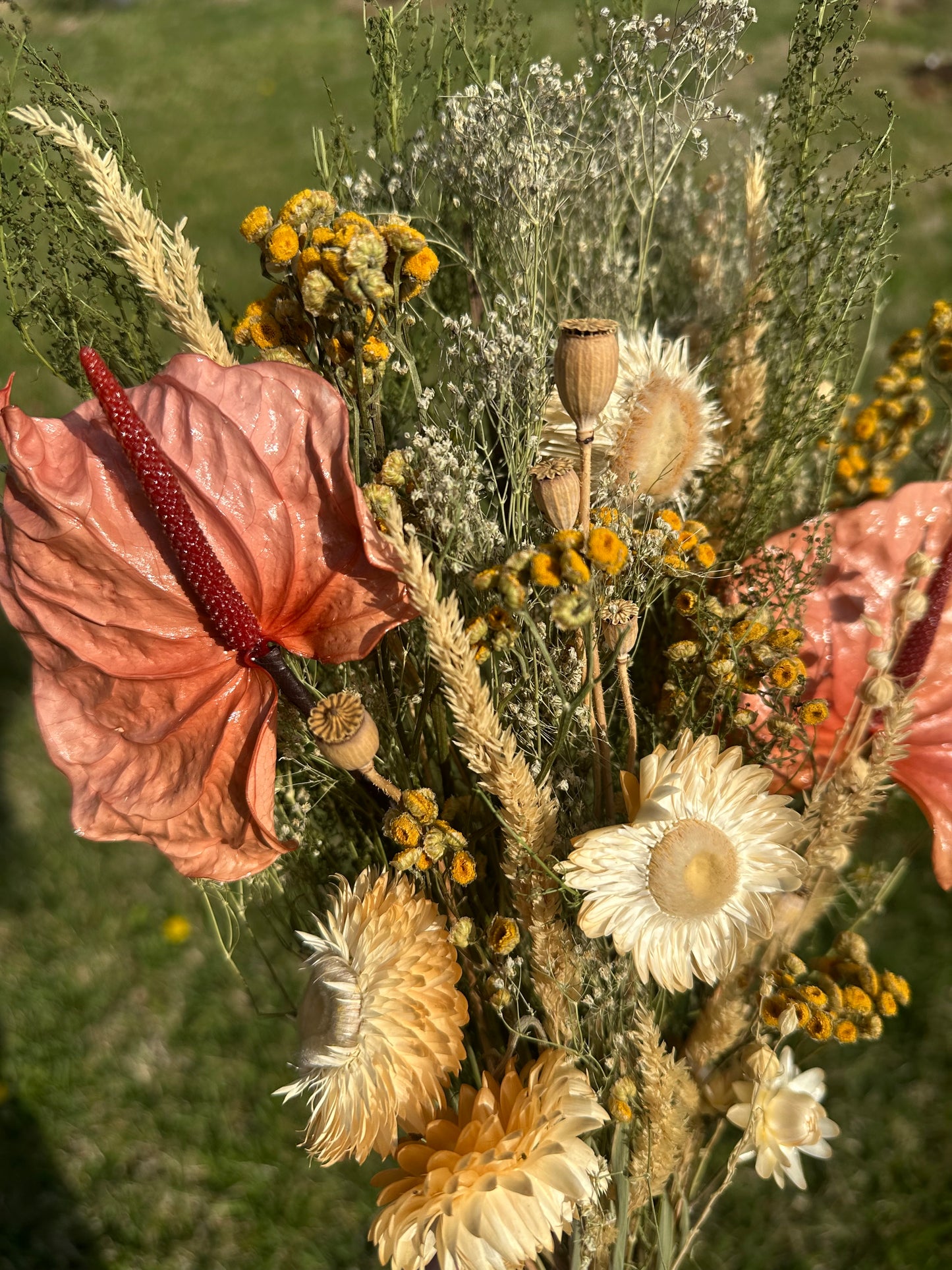 Anthurium & Strawflower Large Dried Bouquet