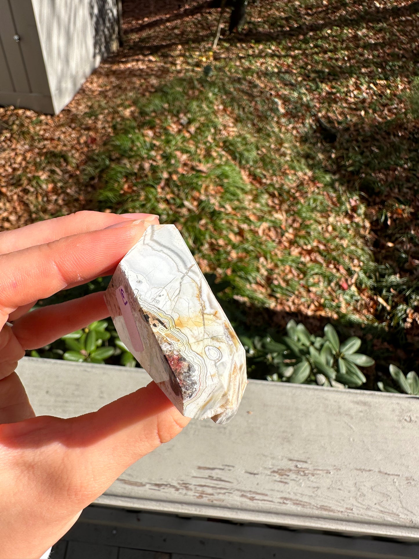 Moroccan Agate freeform #6