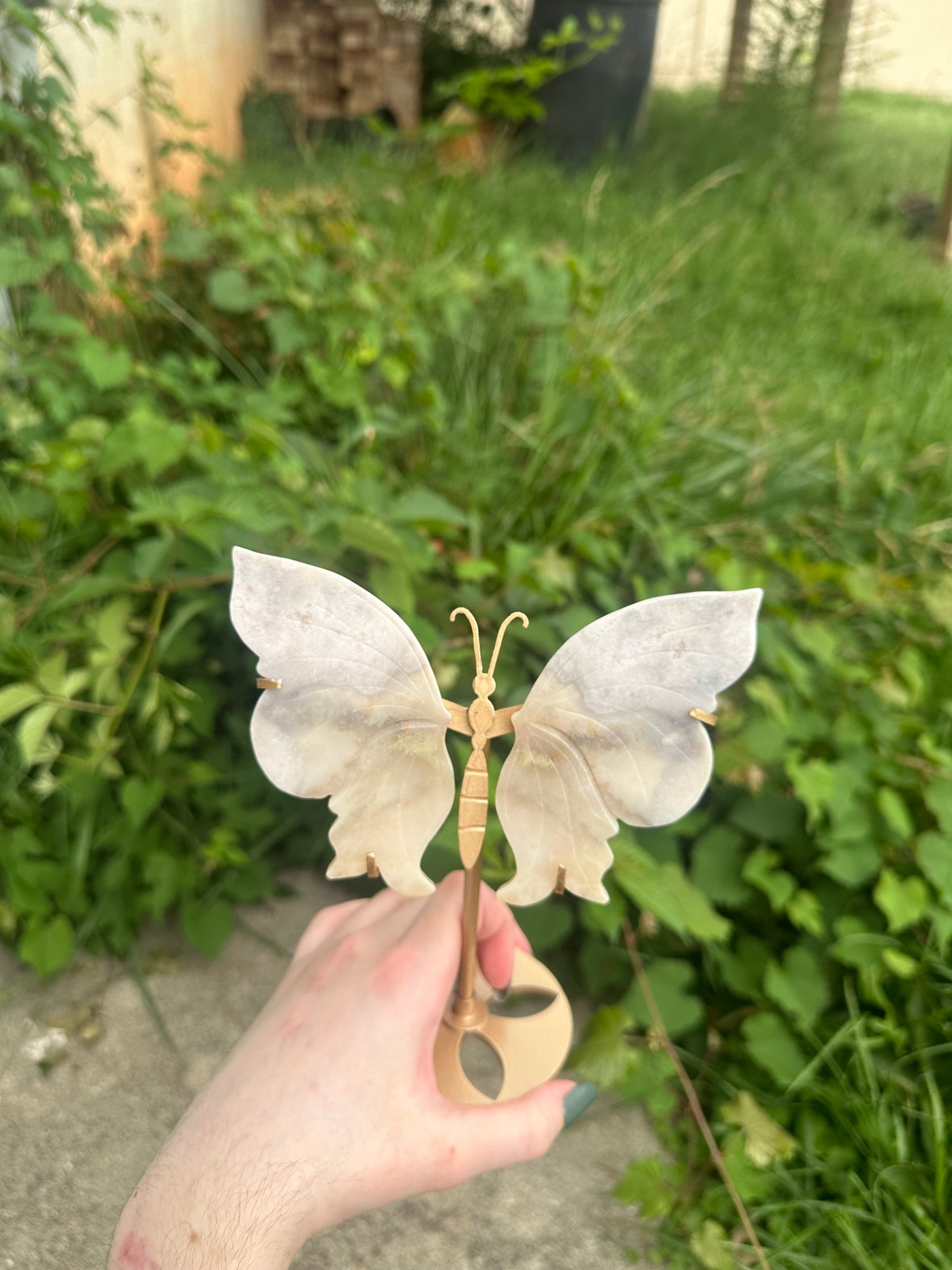 Flower Agate Butterfly with stand