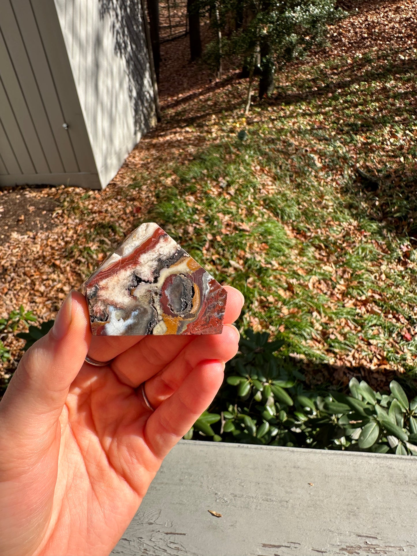 Moroccan Agate freeform #5