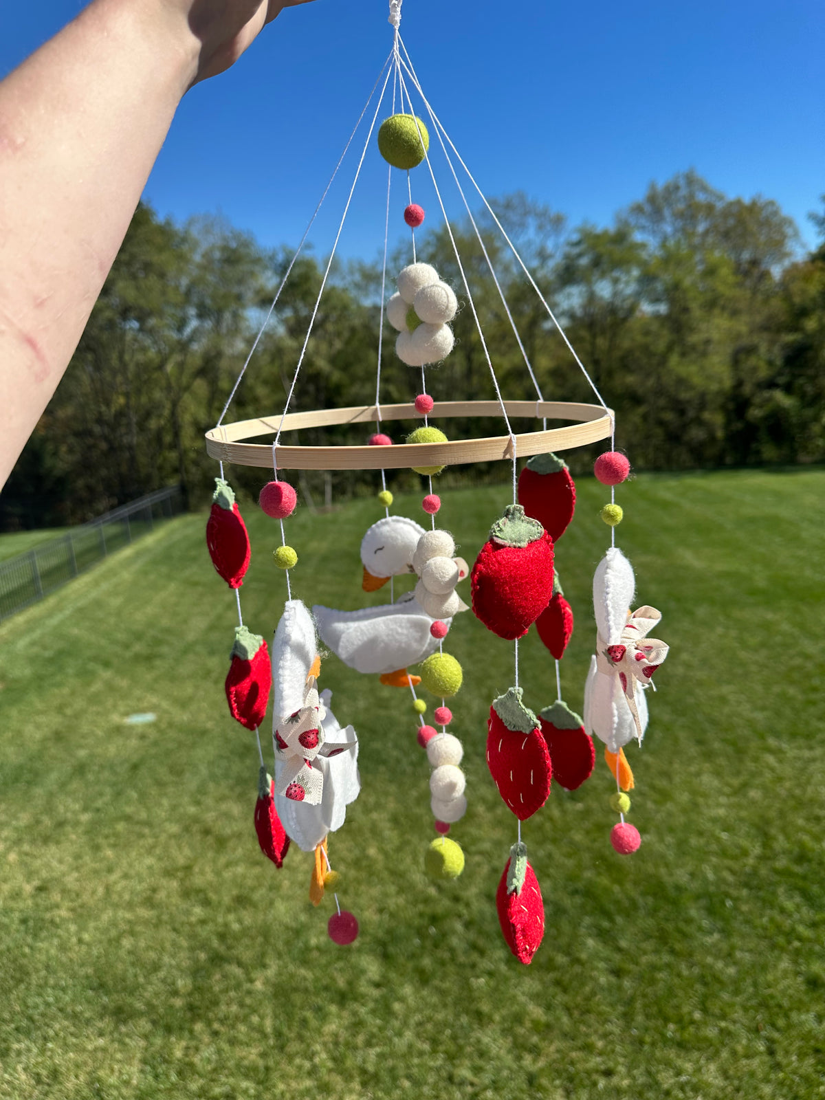 Handmade Strawberry Goose Crib Mobile