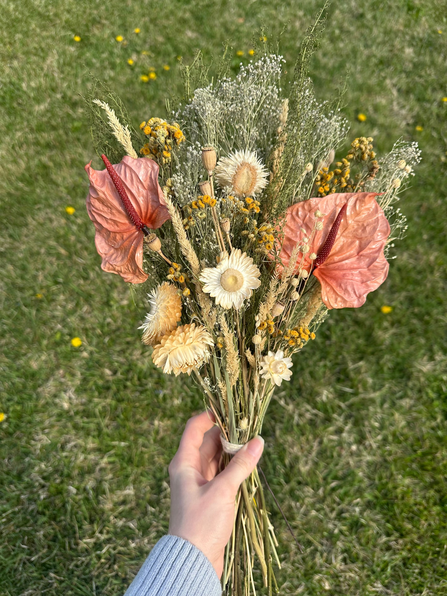 Anthurium & Strawflower Large Dried Bouquet