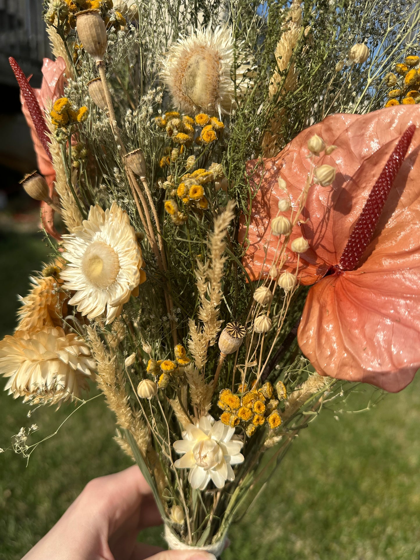 Anthurium & Strawflower Large Dried Bouquet