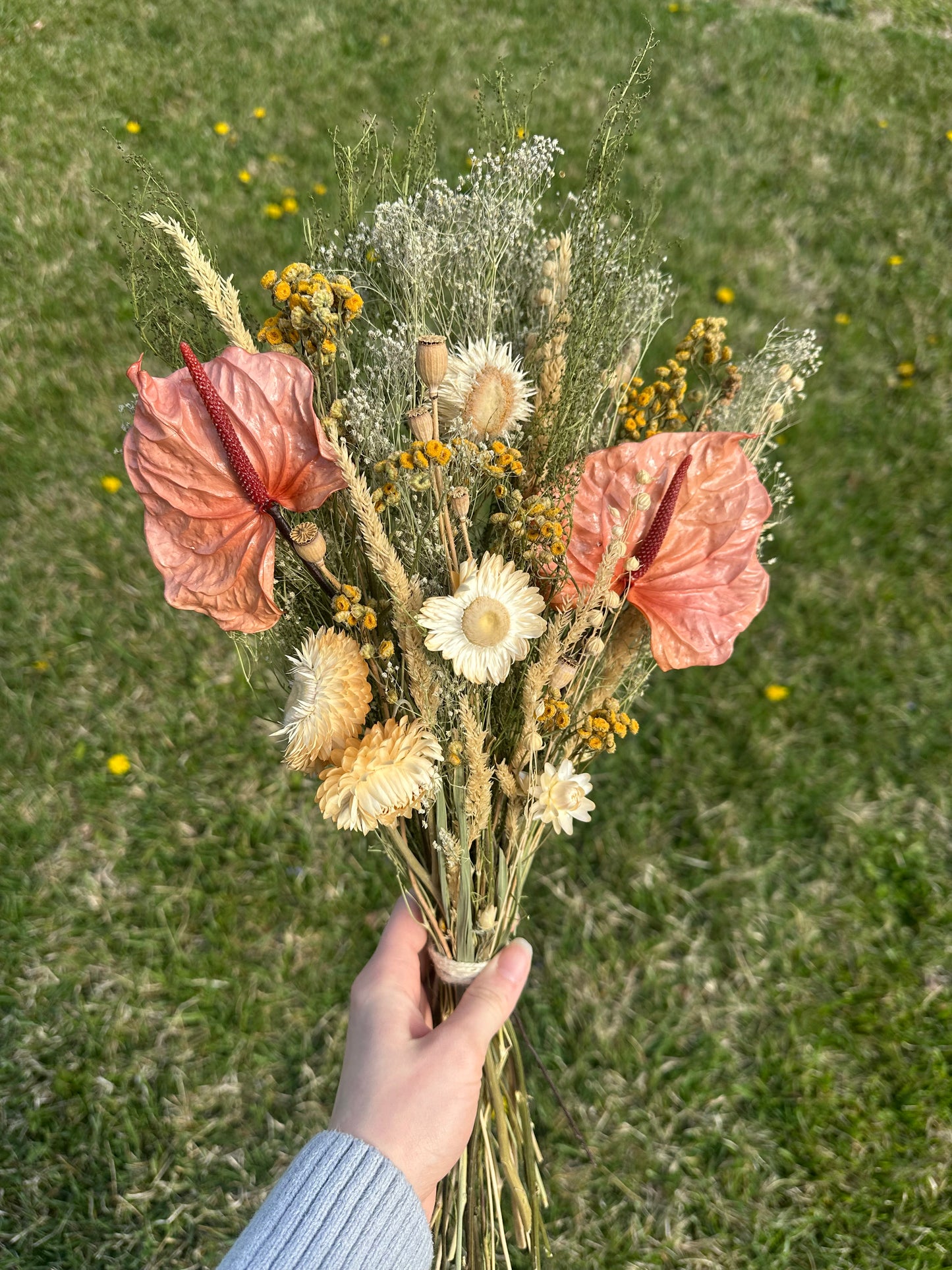 Anthurium & Strawflower Large Dried Bouquet