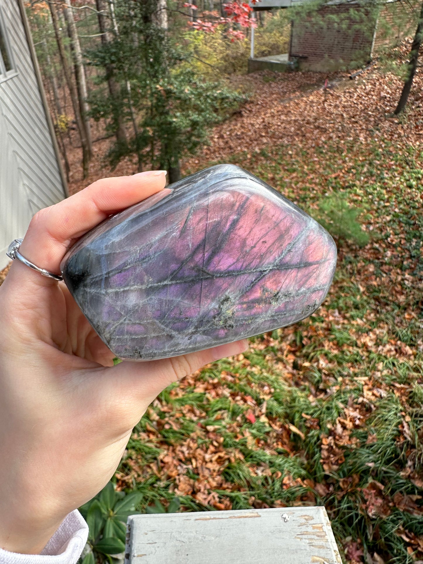 Labradorite freeform #13