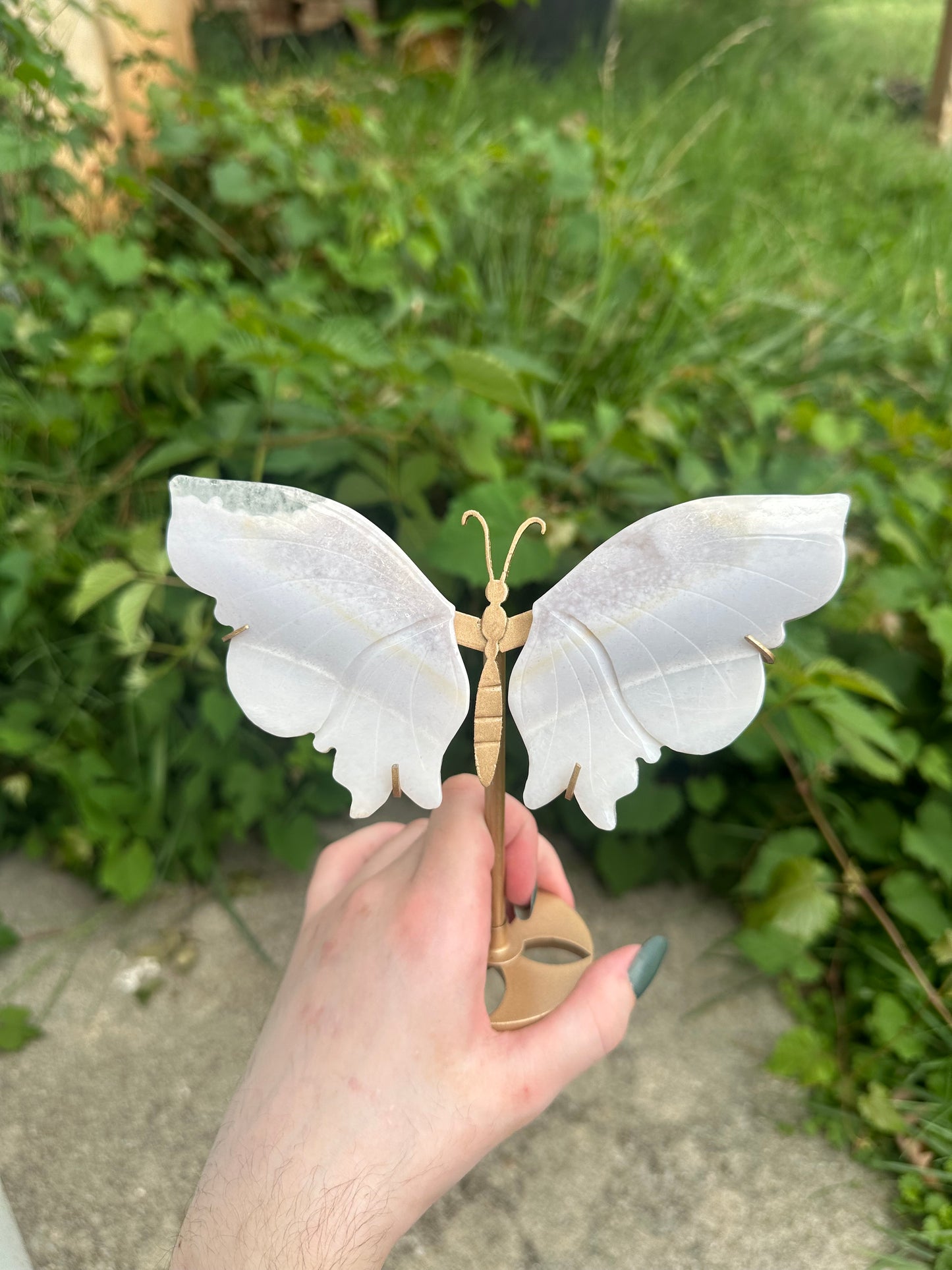 Flower Agate Butterfly with stand