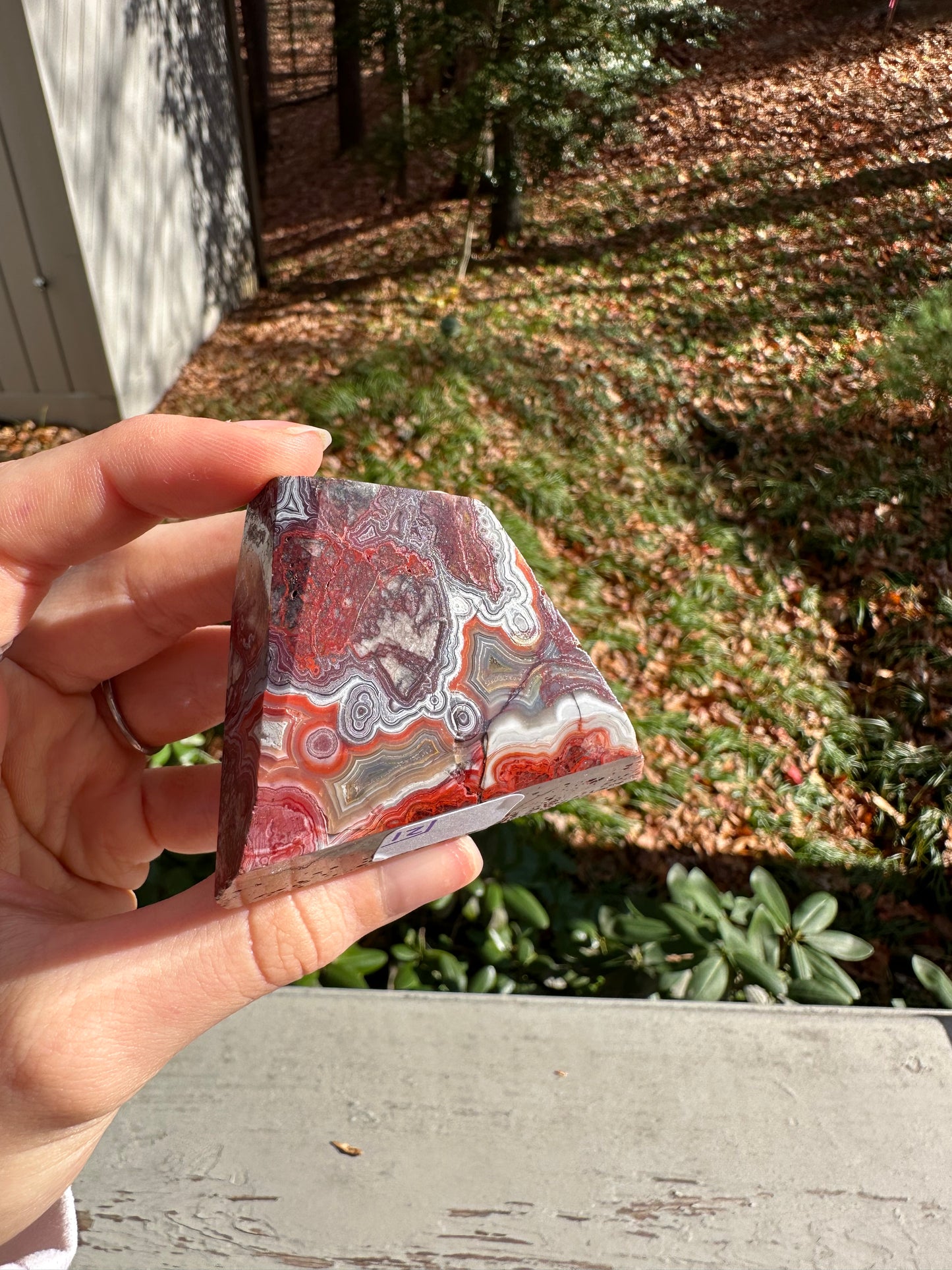 Moroccan Agate freeform #12