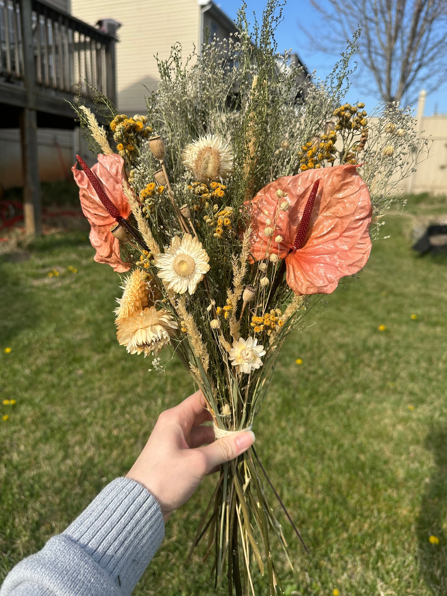 Anthurium & Strawflower Large Dried Bouquet