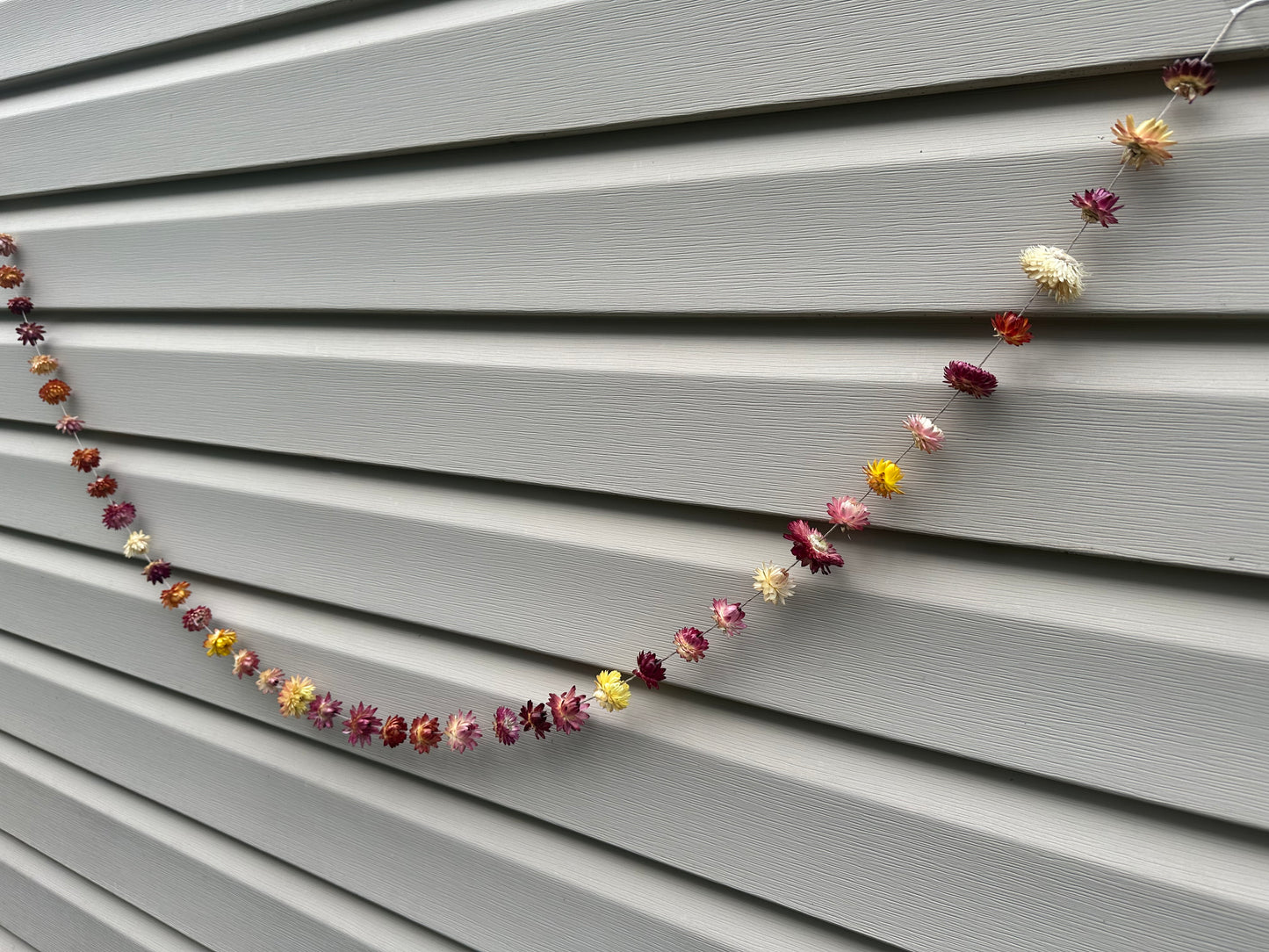 Dried Strawflower Garland- by the foot