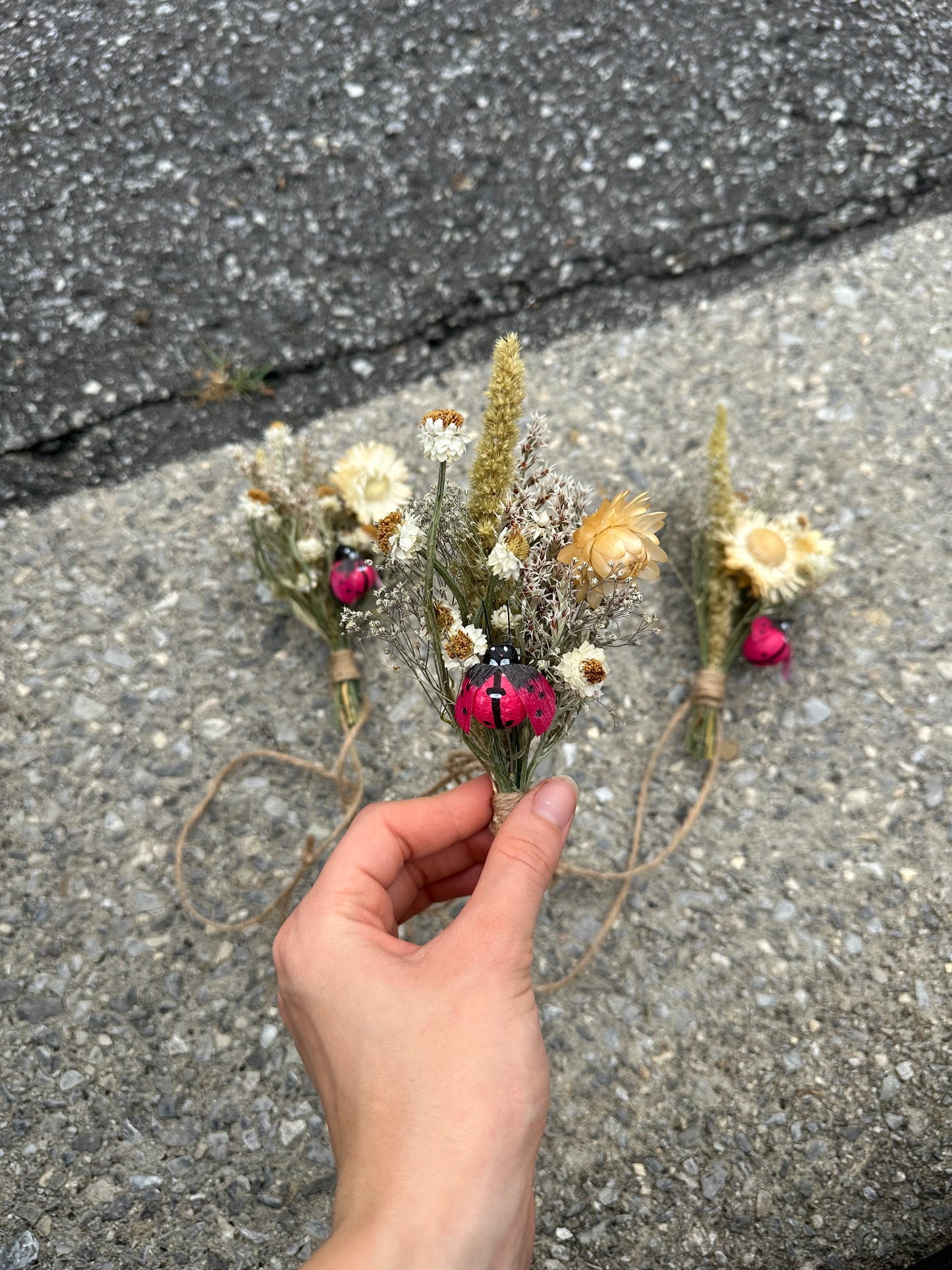 Ladybug Dried Flower Mini Bouquet