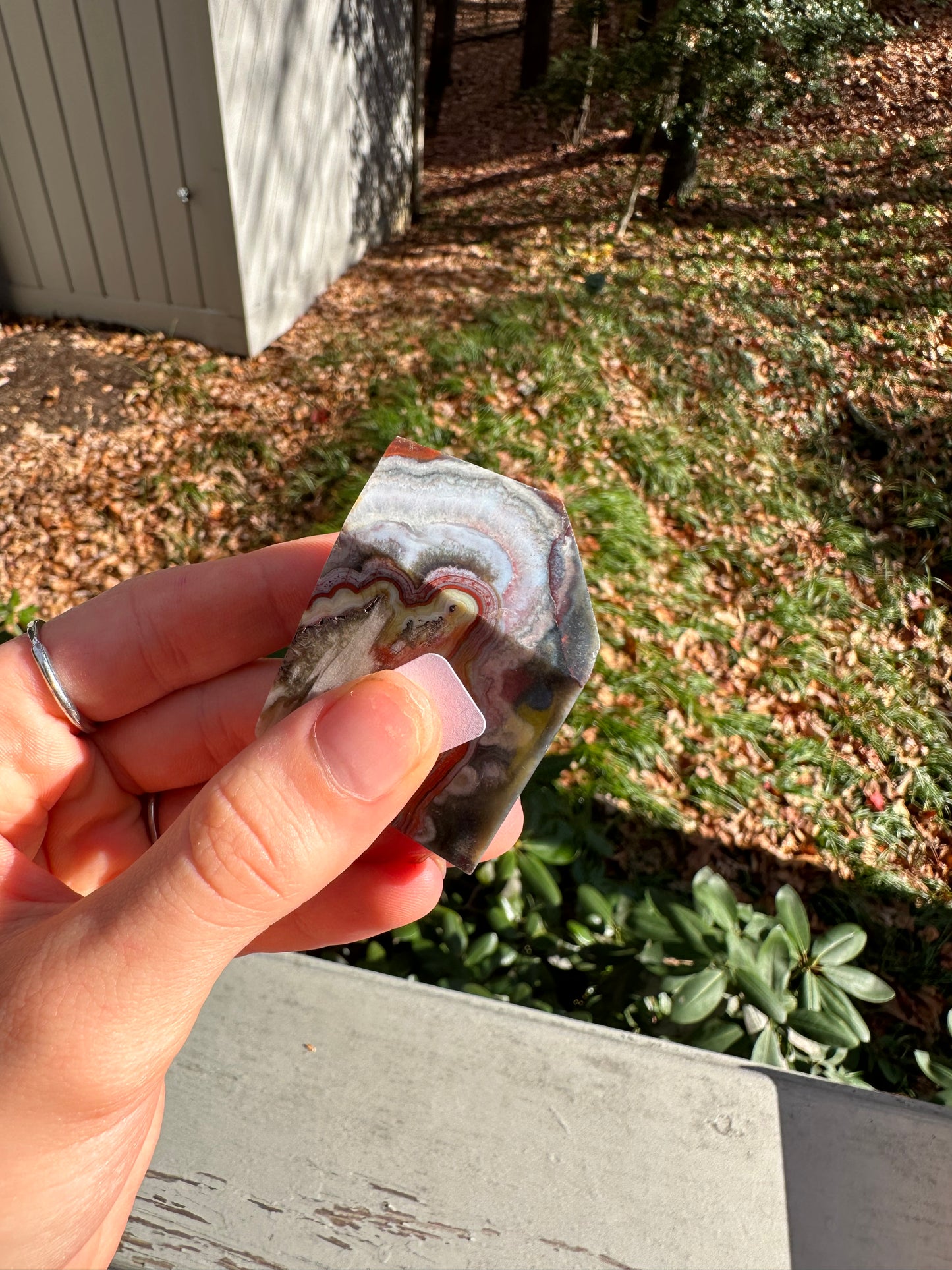 Moroccan Agate freeform #3