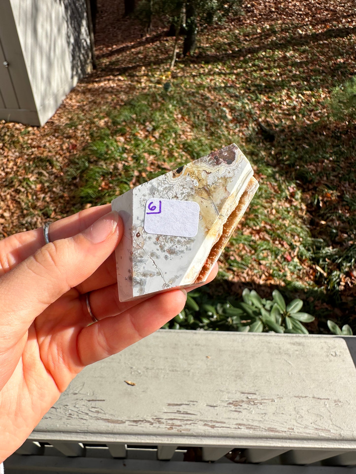 Moroccan Agate freeform #6