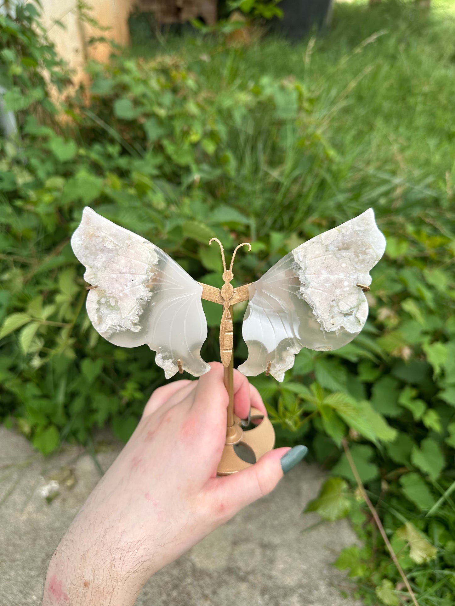 Flower Agate Butterfly with stand