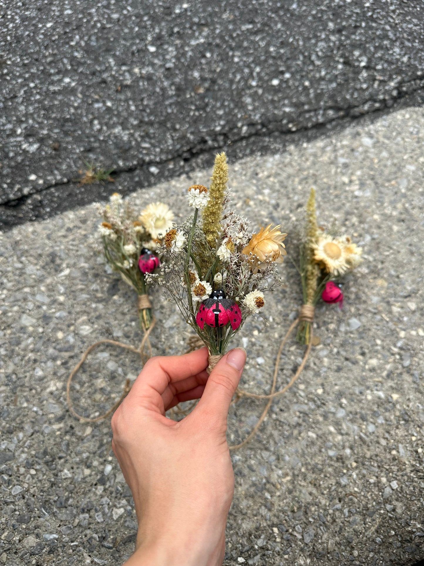 Ladybug Dried Flower Mini Bouquet