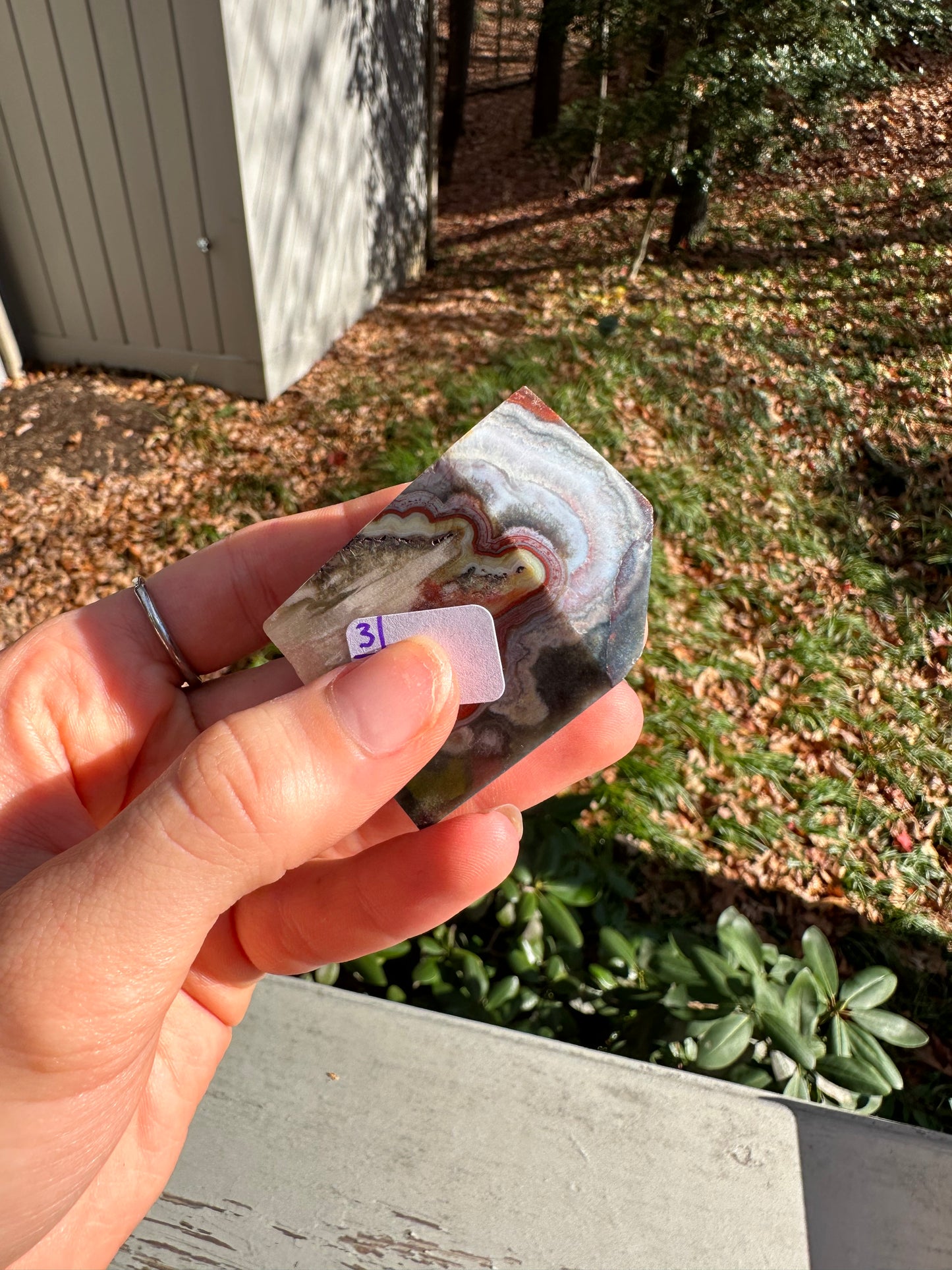 Moroccan Agate freeform #3