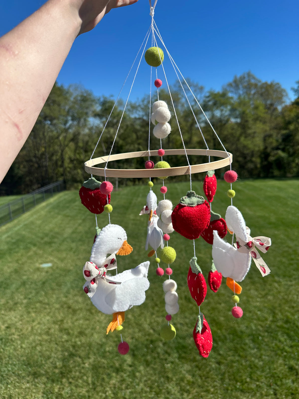 Handmade Strawberry Goose Crib Mobile