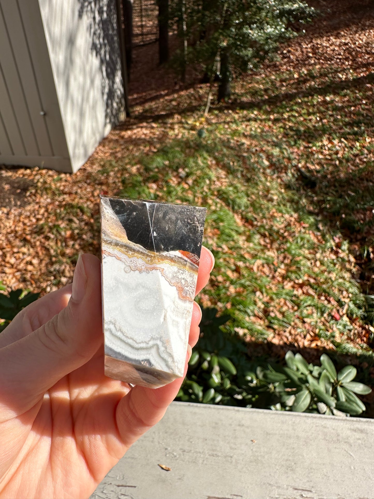 Moroccan Agate freeform #9