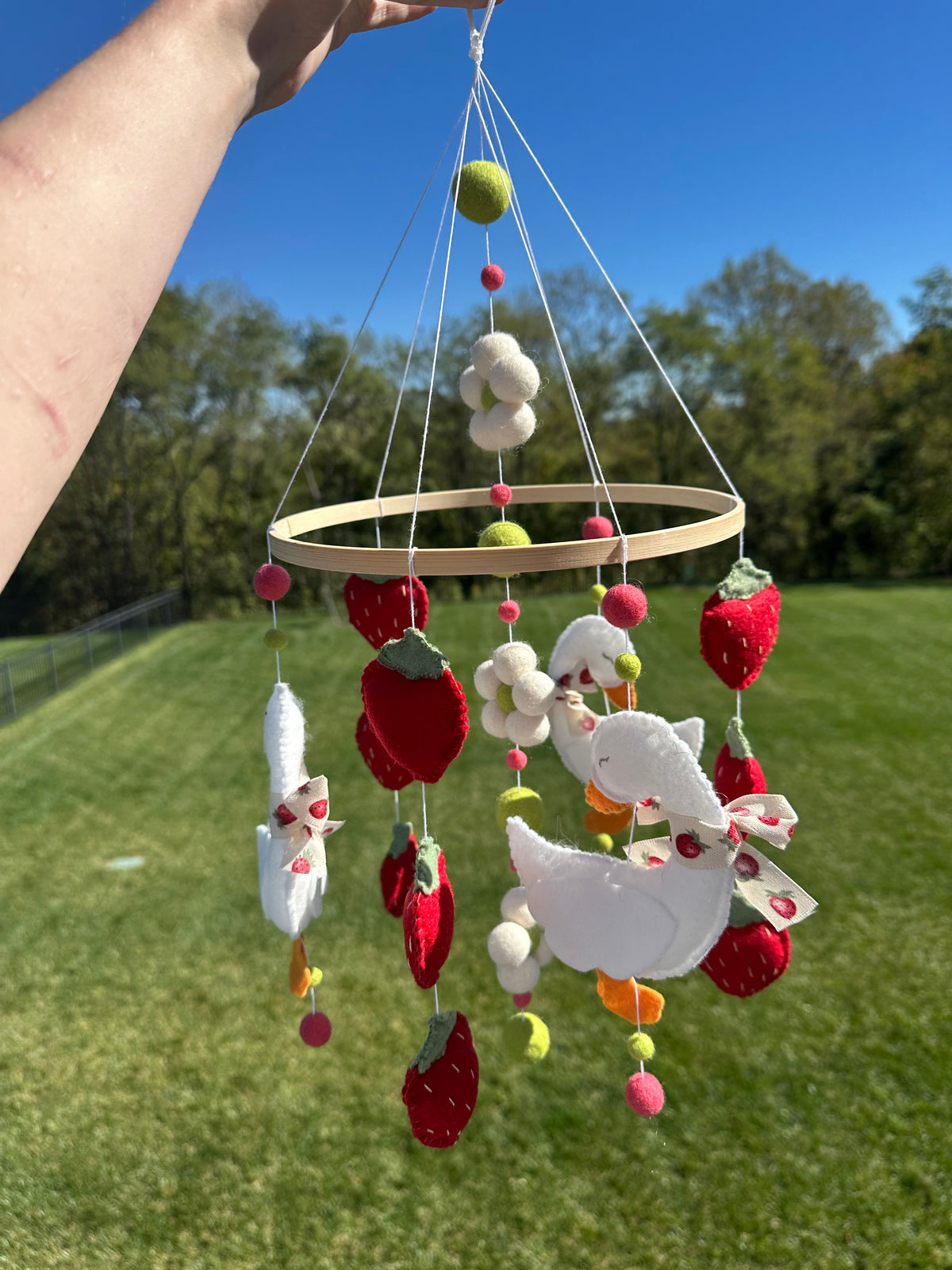 Handmade Strawberry Goose Crib Mobile