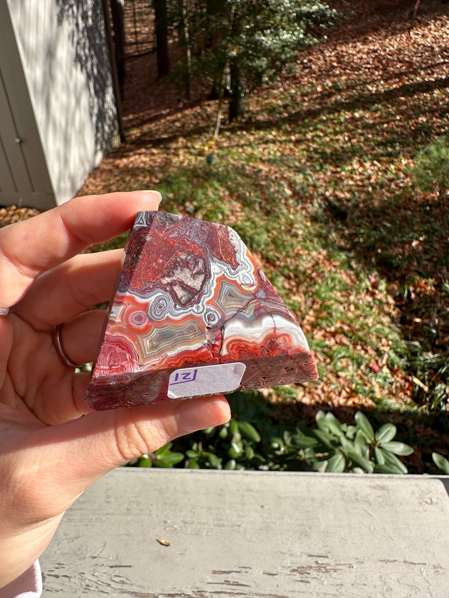 Moroccan Agate freeform #12