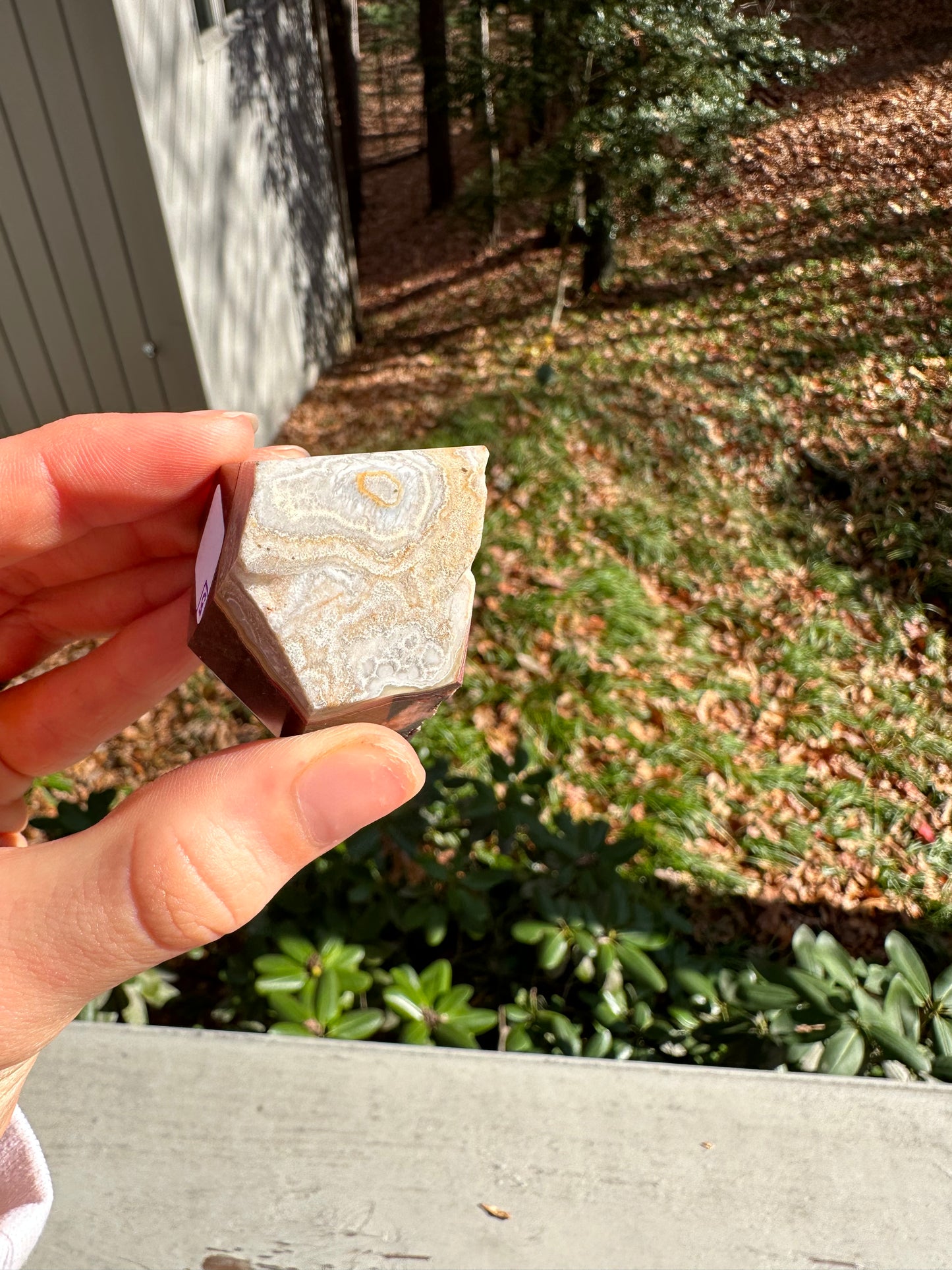 Moroccan Agate freeform #5