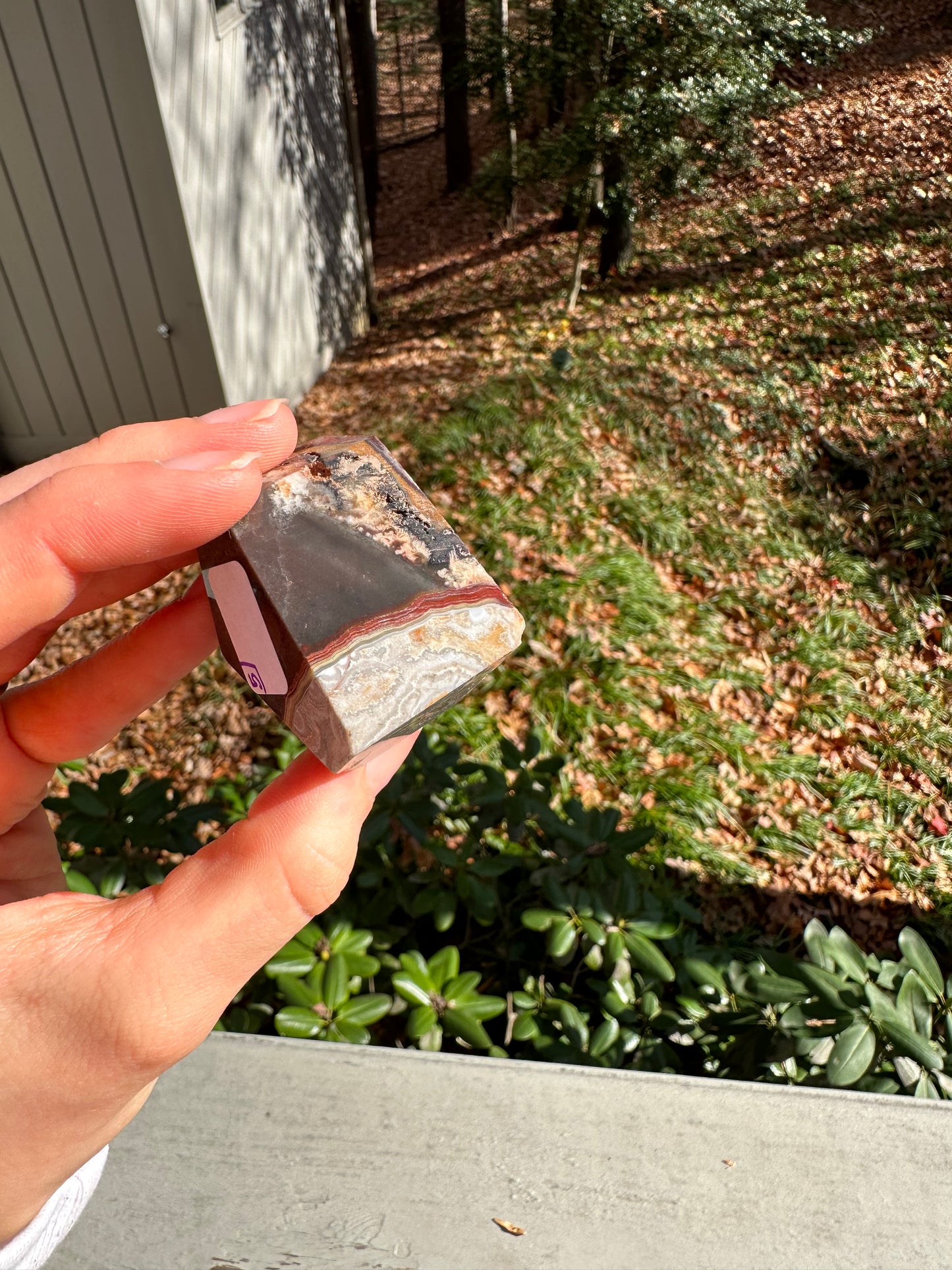 Moroccan Agate freeform #5