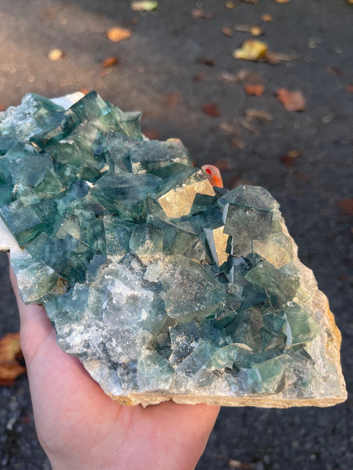 Cubic Fluorite #1